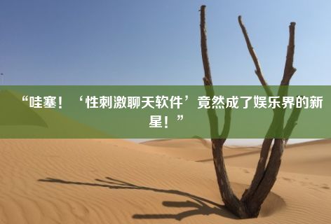 “哇塞！‘性刺激聊天软件’竟然成了娱乐界的新星！”