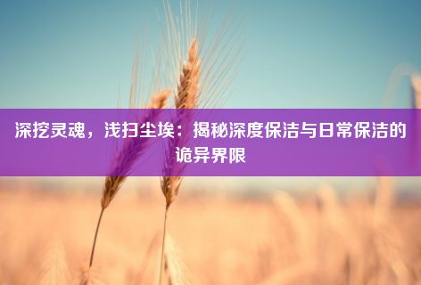 深挖灵魂，浅扫尘埃：揭秘深度保洁与日常保洁的诡异界限