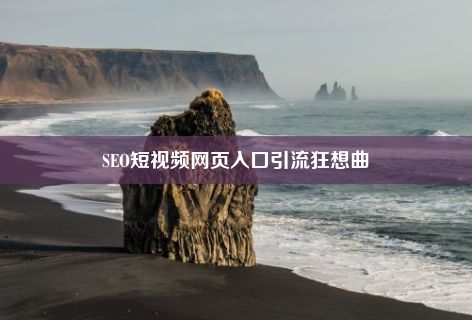 SEO短视频网页入口引流狂想曲