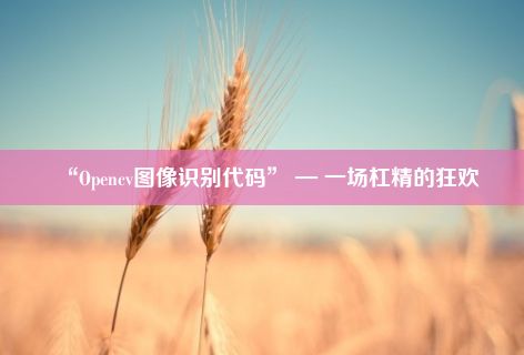 “Opencv图像识别代码” — 一场杠精的狂欢