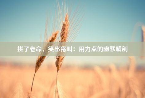 拼了老命，笑出猪叫：用力点的幽默解剖