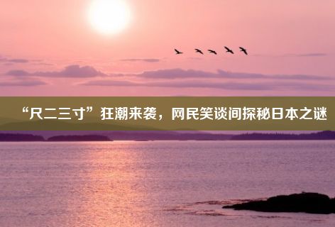 “尺二三寸”狂潮来袭，网民笑谈间探秘日本之谜