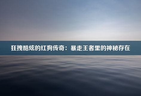 狂拽酷炫的红狗传奇：暴走王者里的神秘存在