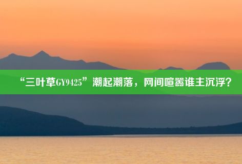 “三叶草GY9425”潮起潮落，网间喧嚣谁主沉浮？