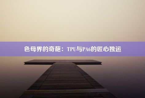 色母界的奇葩：TPU与PA6的匠心独运