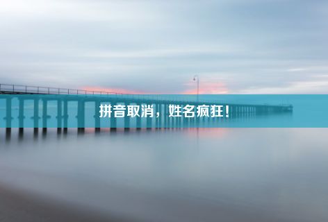 拼音取消，姓名疯狂！