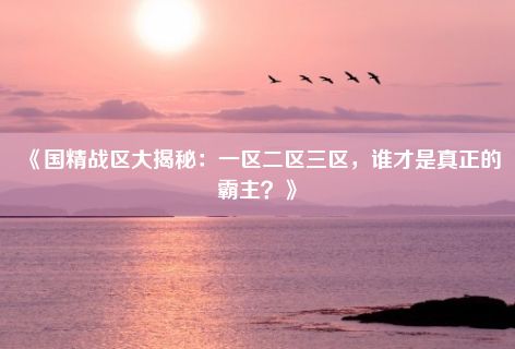 《国精战区大揭秘：一区二区三区，谁才是真正的霸主？》