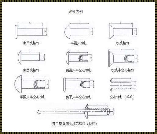 《铆钉配对，标注界的“灵魂互换”》