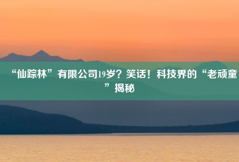 “仙踪林”有限公司19岁？笑话！科技界的“老顽童”揭秘