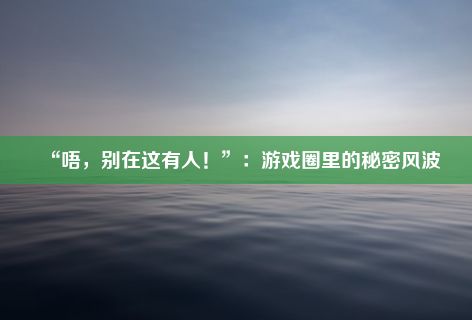 “唔，别在这有人！”：游戏圈里的秘密风波