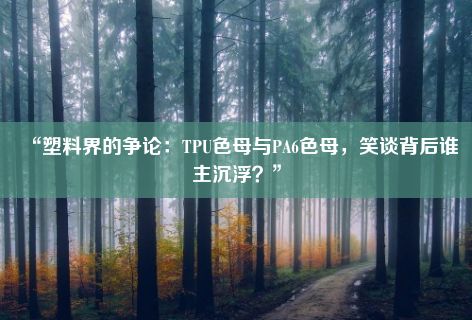 “塑料界的争论：TPU色母与PA6色母，笑谈背后谁主沉浮？”