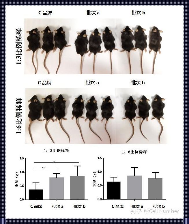 ABW实验多人：科技狂欢下的热情引爆剂