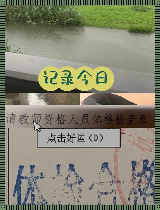 “小雨”体检记：科技界的“恶搞”盛宴