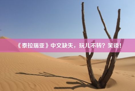 《泰拉瑞亚》中文缺失，玩儿不转？笑谈！