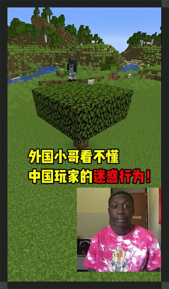 异域淘沙：老外陷中国版Minecraft，笑料百出！