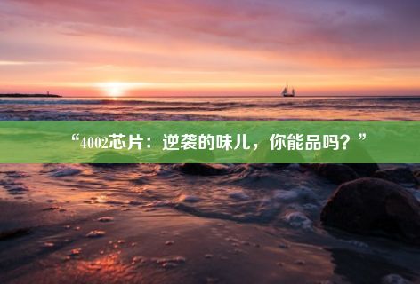 “4002芯片：逆袭的味儿，你能品吗？”