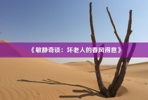 《敏静奇谈：坏老人的春风得意》