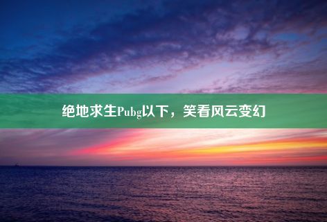 绝地求生Pubg以下，笑看风云变幻