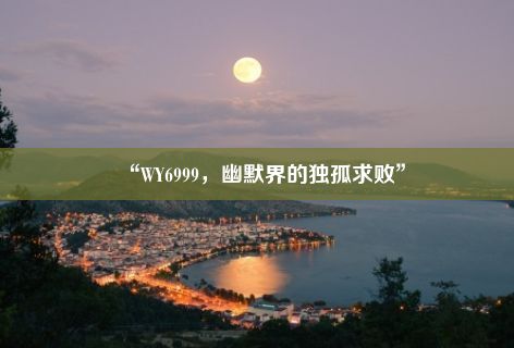 “WY6999，幽默界的独孤求败”