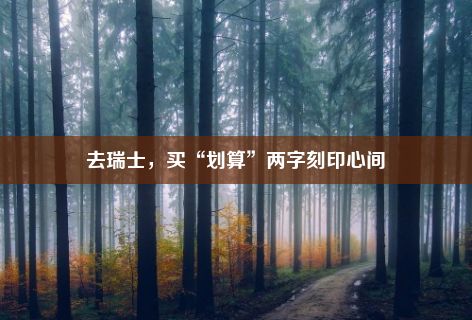 去瑞士，买“划算”两字刻印心间