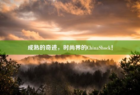 成熟的奇迹，时尚界的ChinaShock！