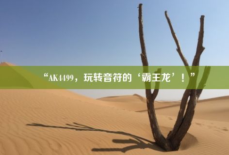 “AK4499，玩转音符的‘霸王龙’！”