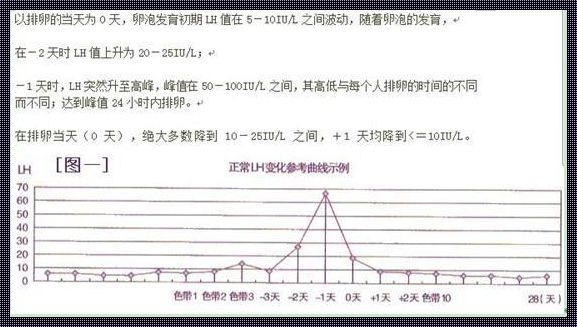 《狂欢游戏盛宴：高能lh1对多，笑侃江湖》