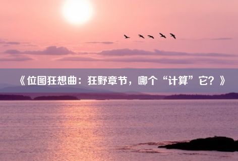 《位图狂想曲：狂野章节，哪个“计算”它？》