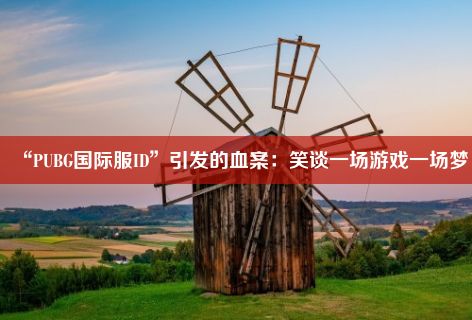 “PUBG国际服ID”引发的血案：笑谈一场游戏一场梦