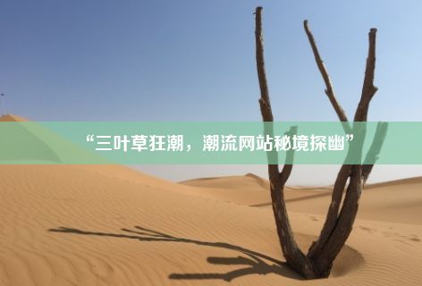 “三叶草狂潮，潮流网站秘境探幽”