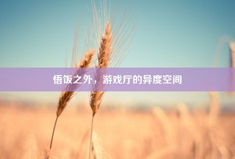 悟饭之外，游戏厅的异度空间