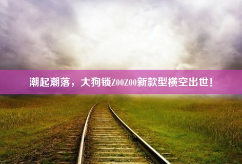 潮起潮落，大狗锁Z00Z00新款型横空出世！