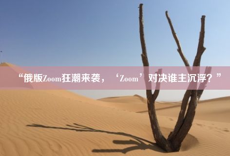 “俄版Zoom狂潮来袭，‘Zoom’对决谁主沉浮？”