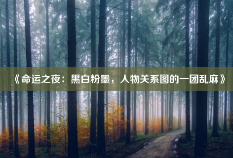 《命运之夜：黑白粉墨，人物关系图的一团乱麻》