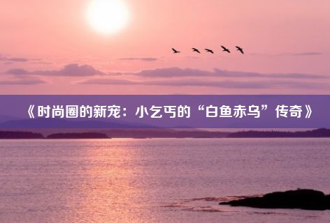 《时尚圈的新宠：小乞丐的“白鱼赤乌”传奇》