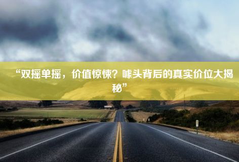 “双摇单摇，价值惊悚？噱头背后的真实价位大揭秘”