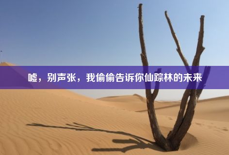 嘘，别声张，我偷偷告诉你仙踪林的未来