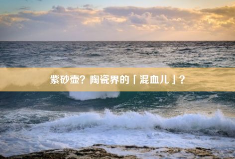 紫砂壶？陶瓷界的「混血儿」？