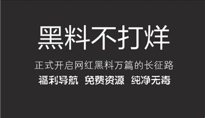 “吃瓜不休，时尚长征：一场全球哄动的滑稽行军”