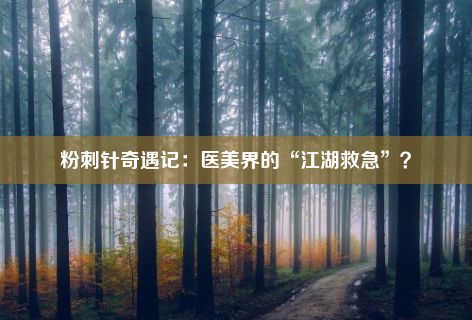 粉刺针奇遇记：医美界的“江湖救急”？