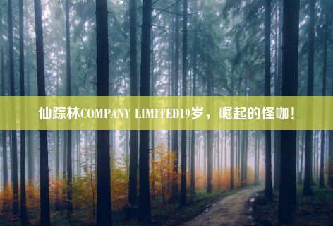 仙踪林COMPANY LIMITED19岁，崛起的怪咖！