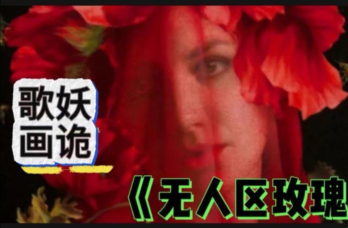 “荒诞界”的玫瑰MV：无人区里的狂欢曲