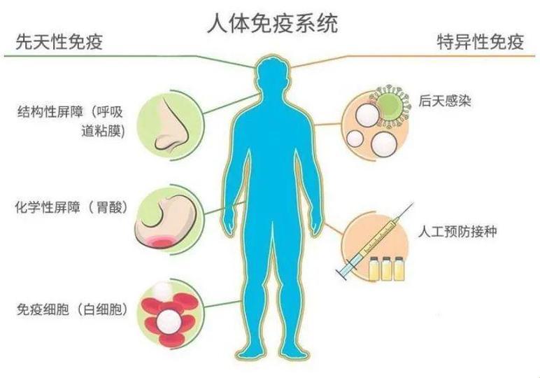 免疫江湖，男儿如何挥洒自如？