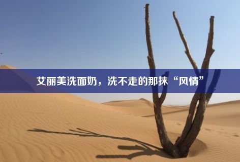 艾丽美洗面奶，洗不走的那抹“风情”