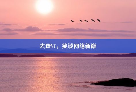 去斑VC，笑谈网络新巅