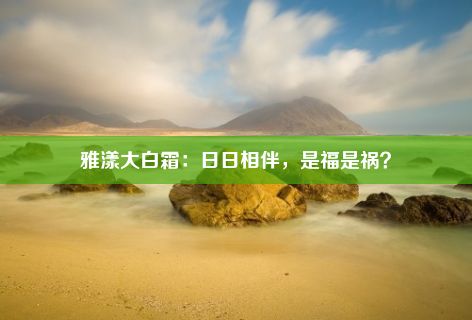 雅漾大白霜：日日相伴，是福是祸？