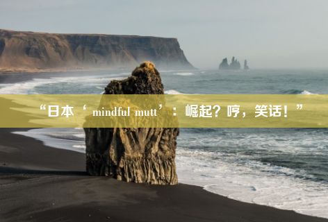 “日本‘ mindful mutt’：崛起？哼，笑话！”