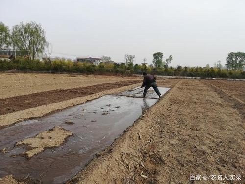 《辣手浇灌，妈妈的土地别样风情》