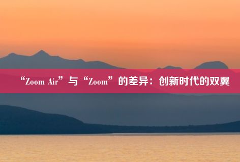 “Zoom Air”与“Zoom”的差异：创新时代的双翼