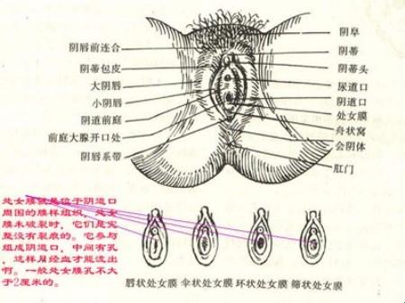 “膜”破纪录？时尚界的新谜题！